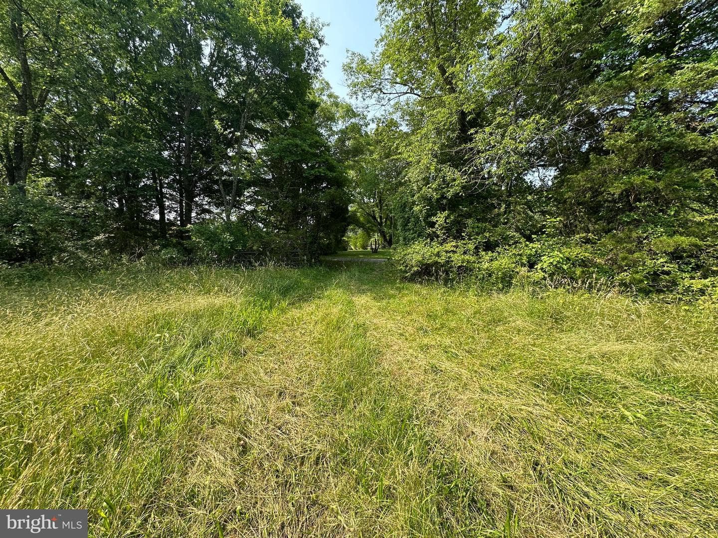 10017 Hayden Road photo 24