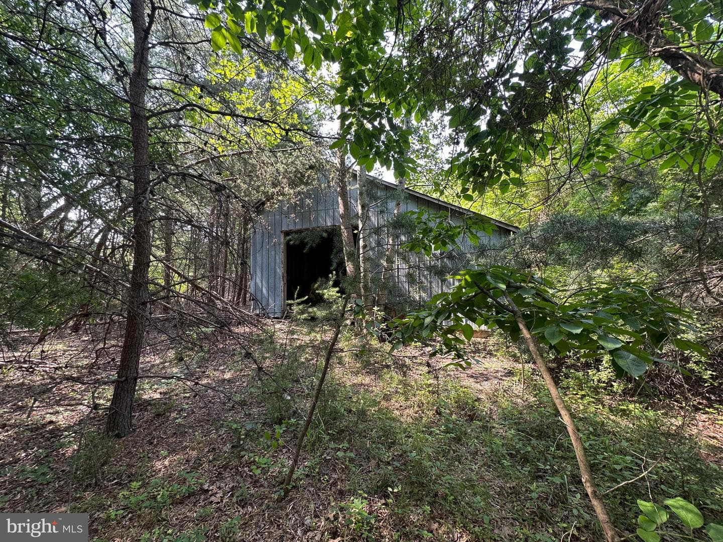 10017 Hayden Road photo 28