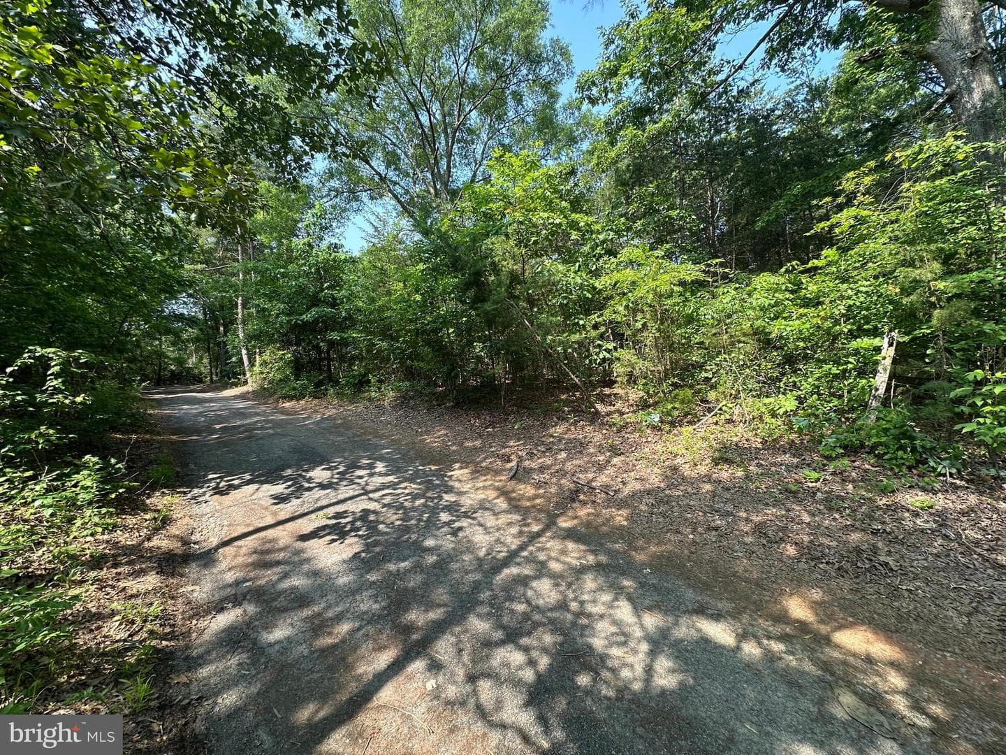 10017 Hayden Road photo 30