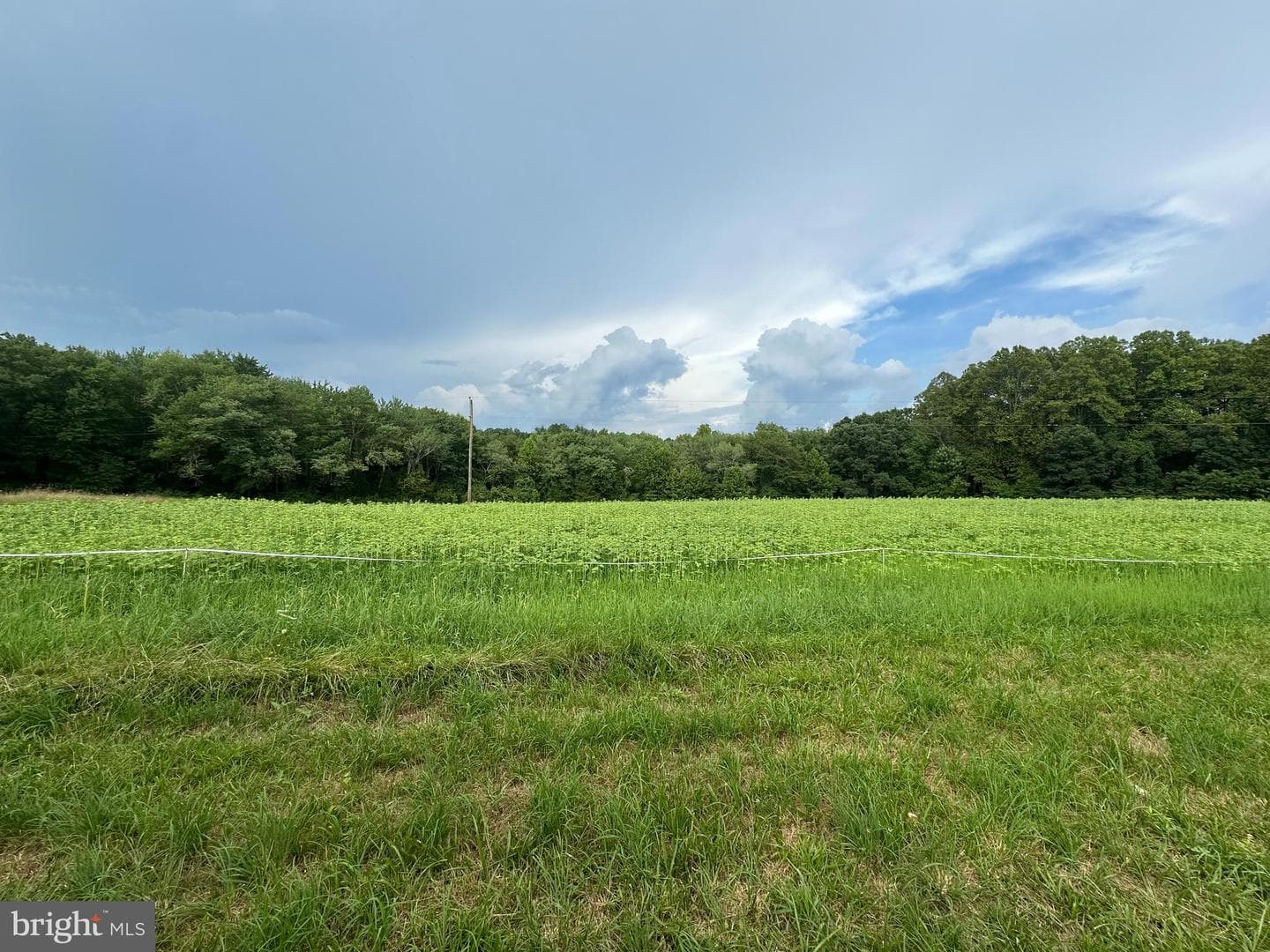 10017 Hayden Road photo 35