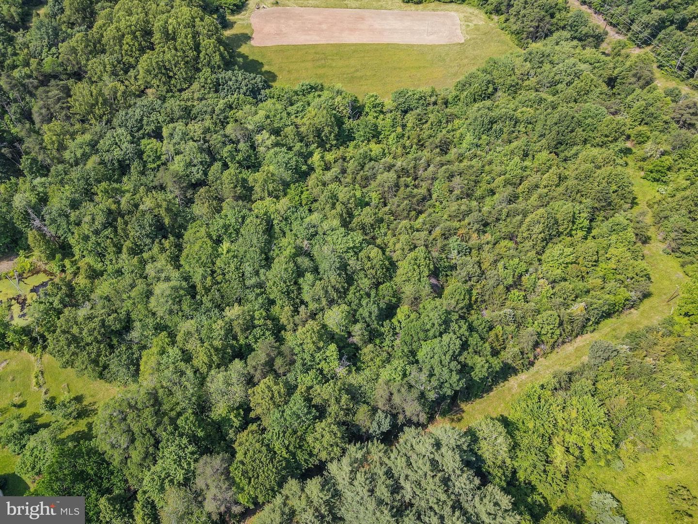 10017 Hayden Road photo 8