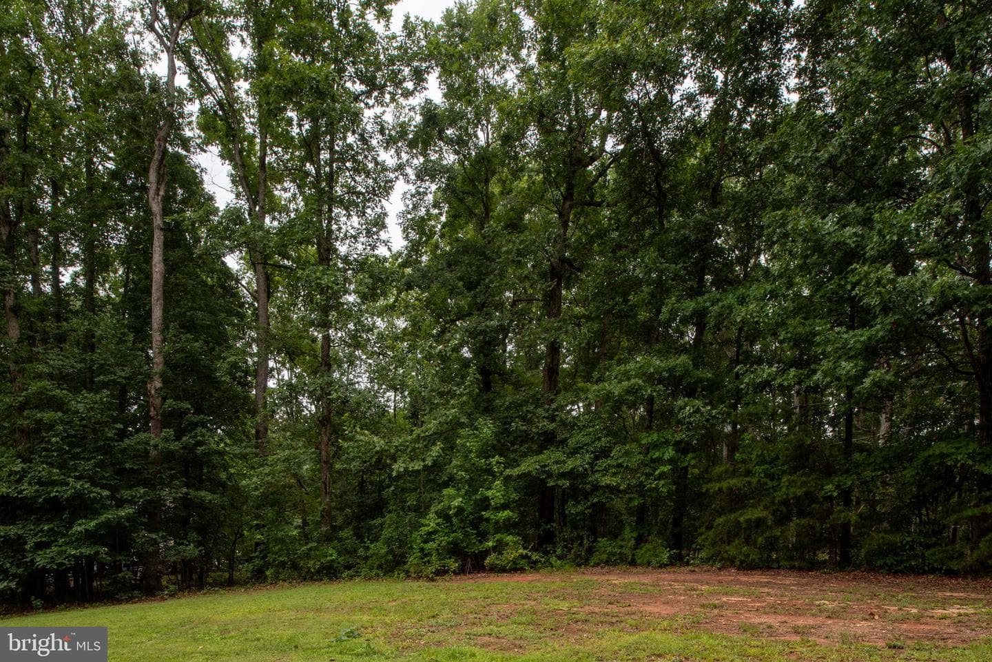 13520 5th Corps Lane photo 25