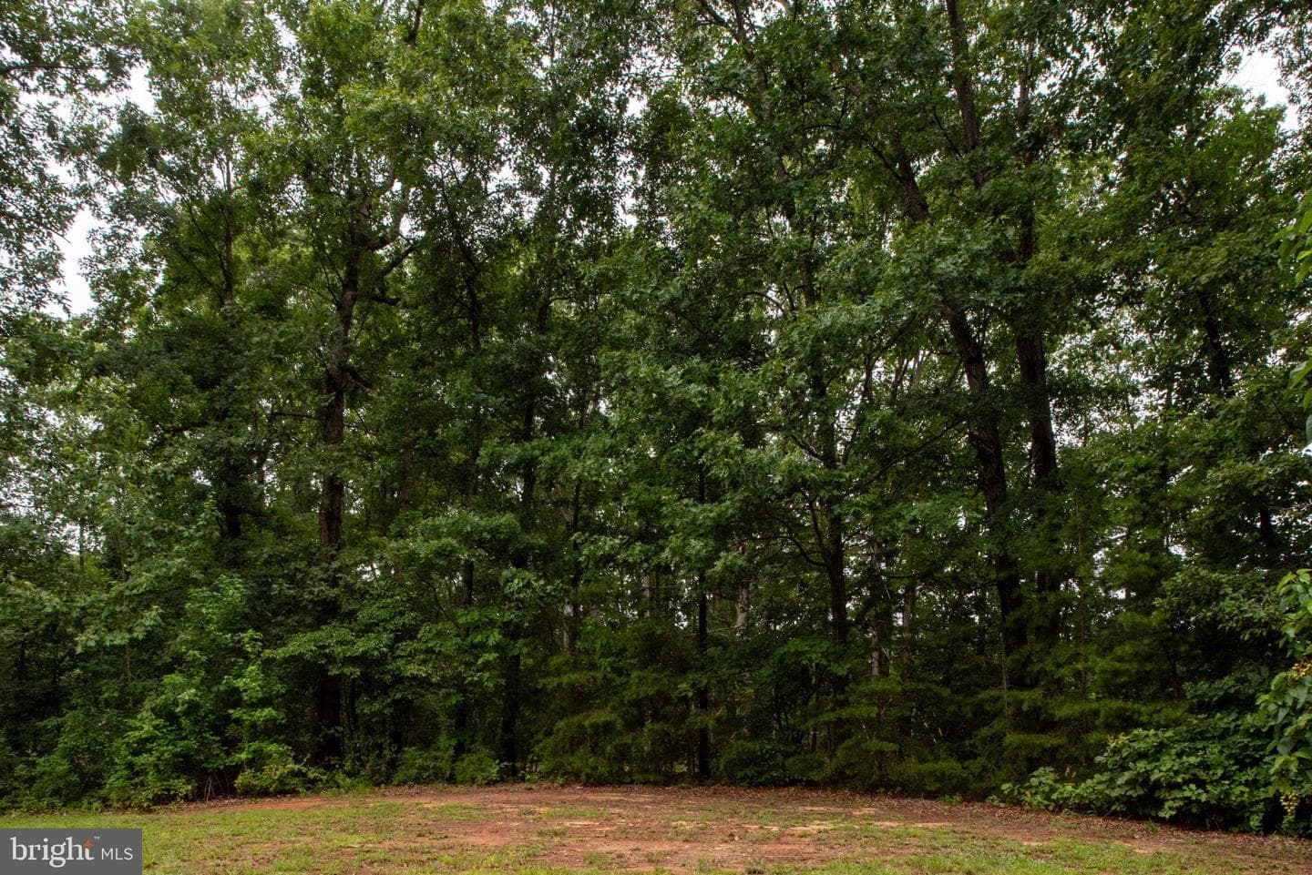 13520 5th Corps Lane photo 26