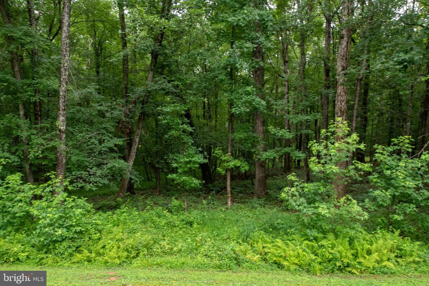 13520 5th Corps Lane photo 86