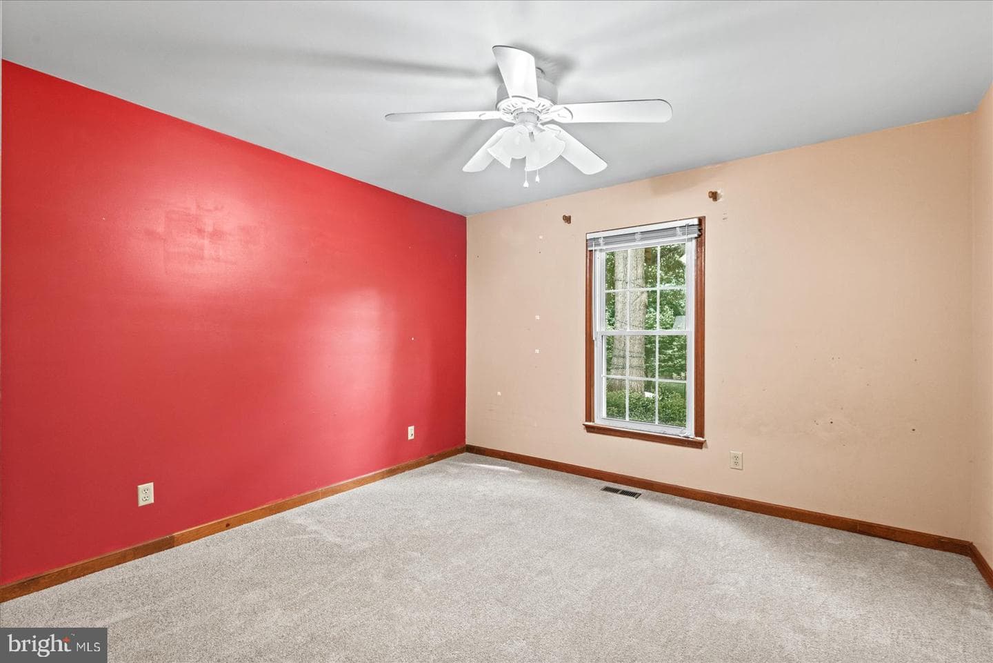 11015 Abbey Lane photo 18