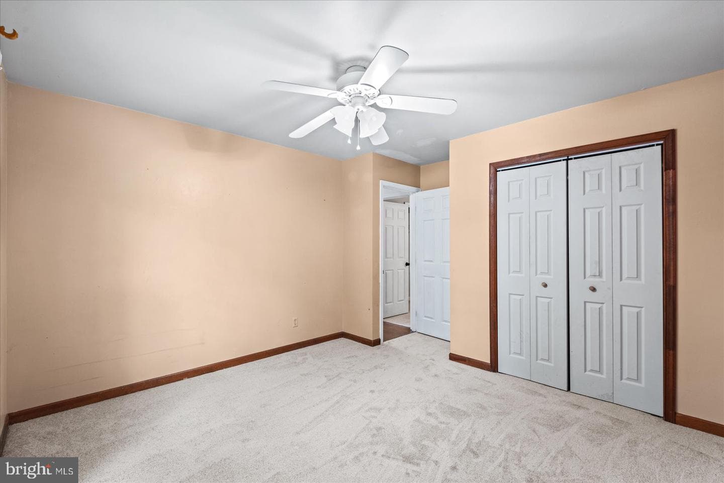 11015 Abbey Lane photo 19