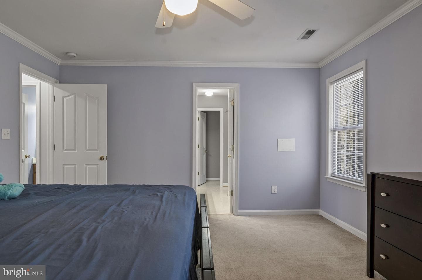 8802 Dundee Drive photo 27