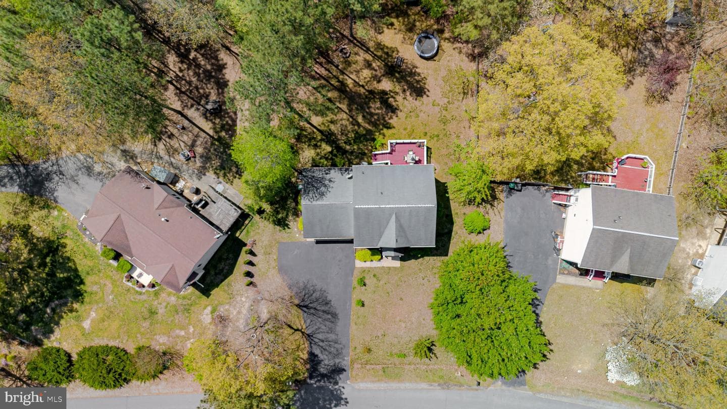 8802 Dundee Drive photo 43