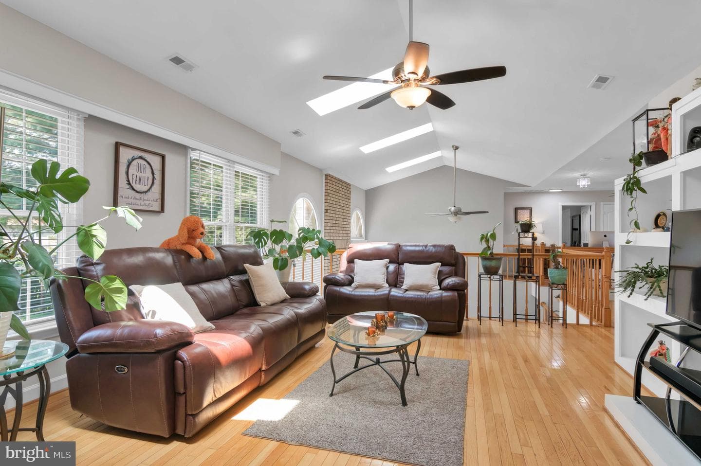 10404 Amherst Circle photo 45