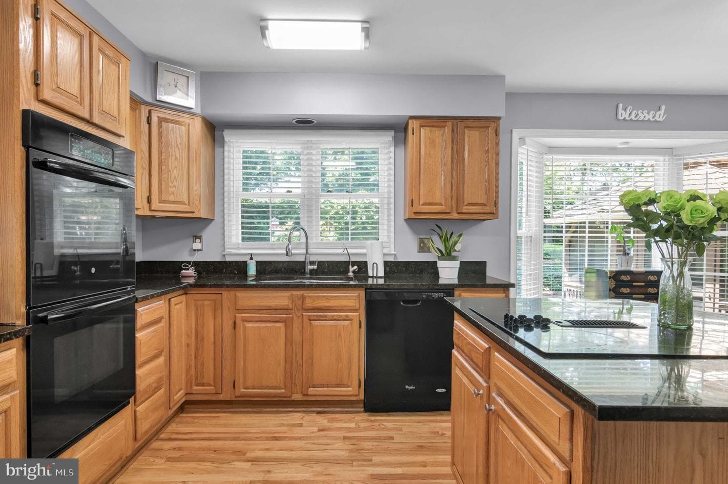 10404 Amherst Circle photo 46