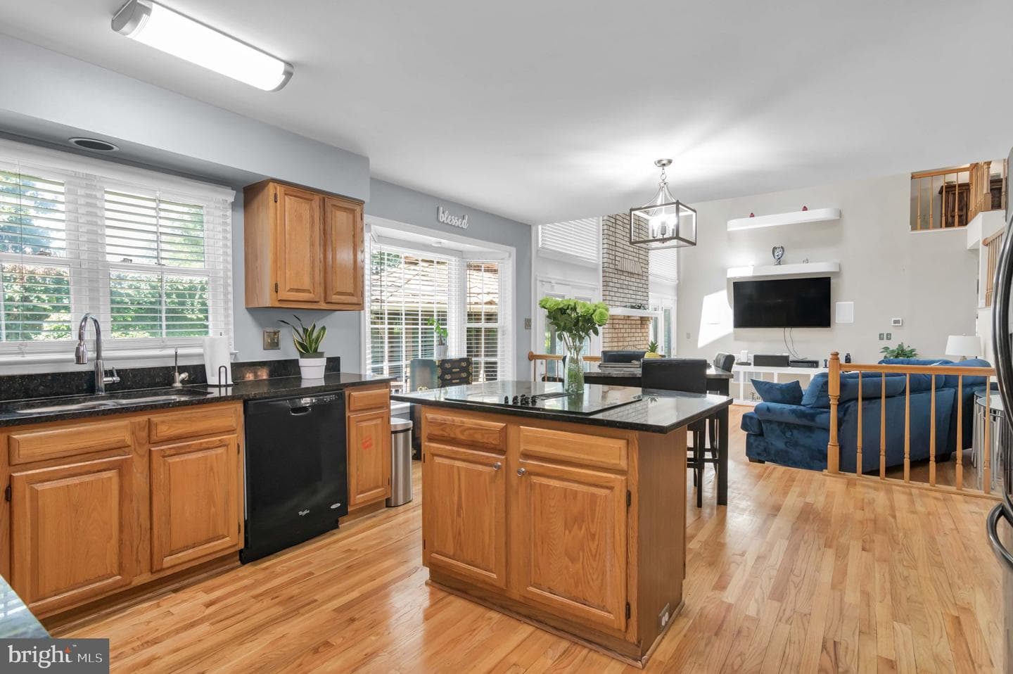 10404 Amherst Circle photo 59
