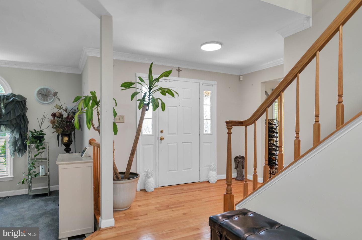 10404 Amherst Circle photo 68