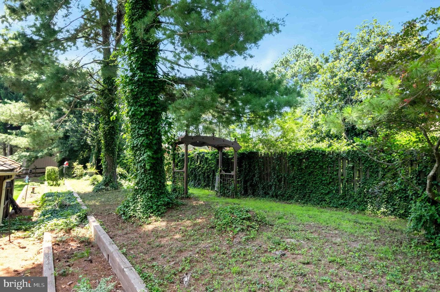 10404 Amherst Circle photo 7