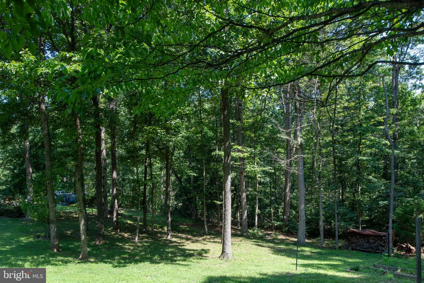 3203 Cavalry Ridge Court photo 35