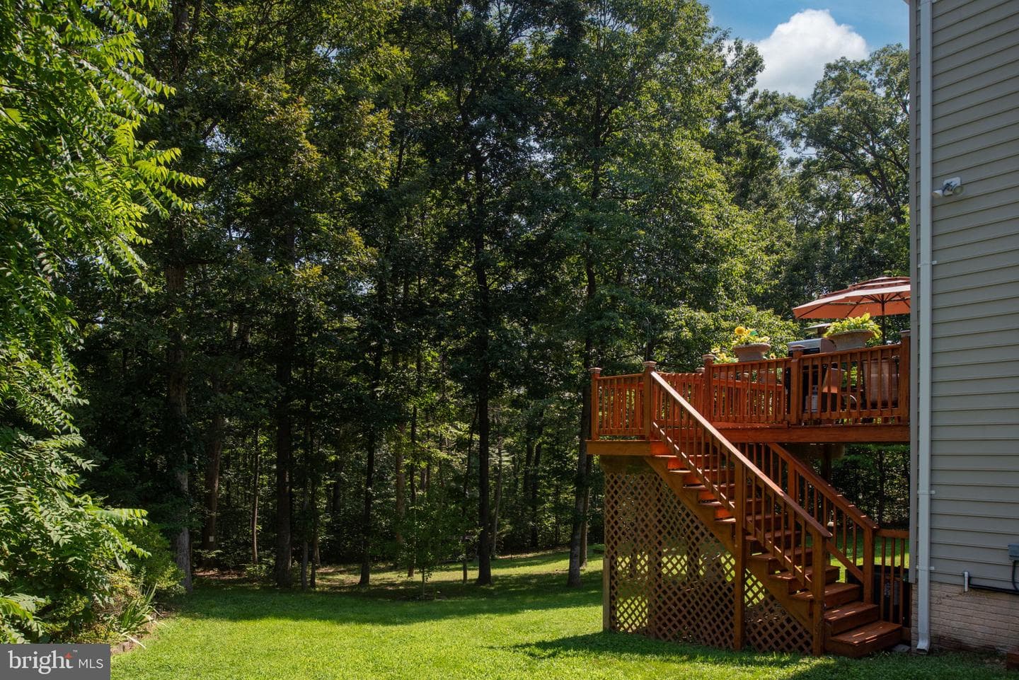 3203 Cavalry Ridge Court photo 38