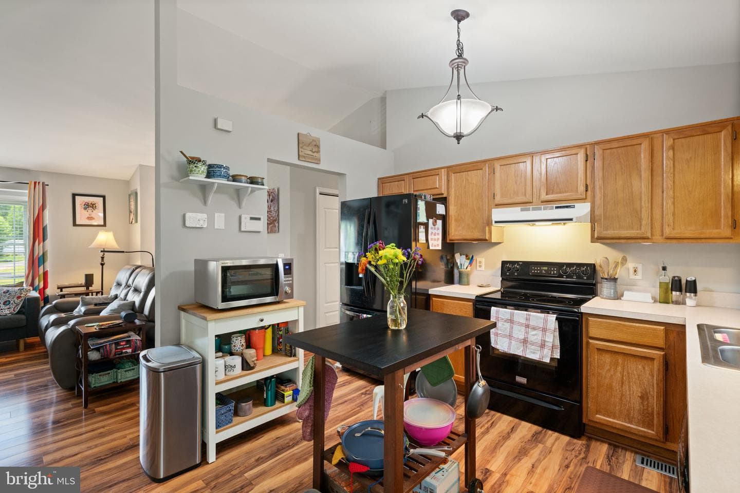 10407 Skinner Hill Drive photo 10