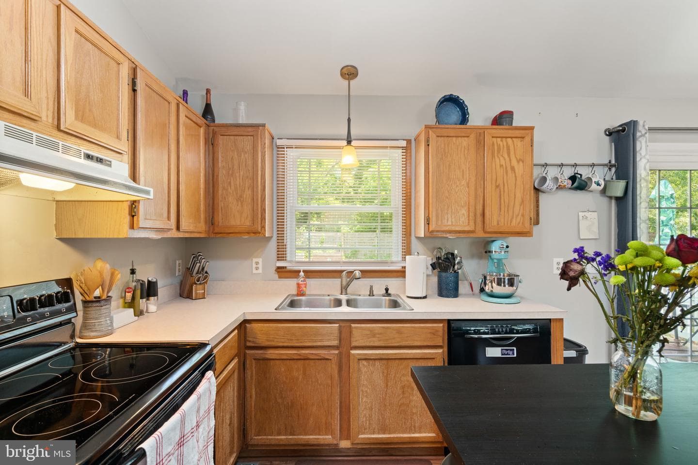 10407 Skinner Hill Drive photo 12
