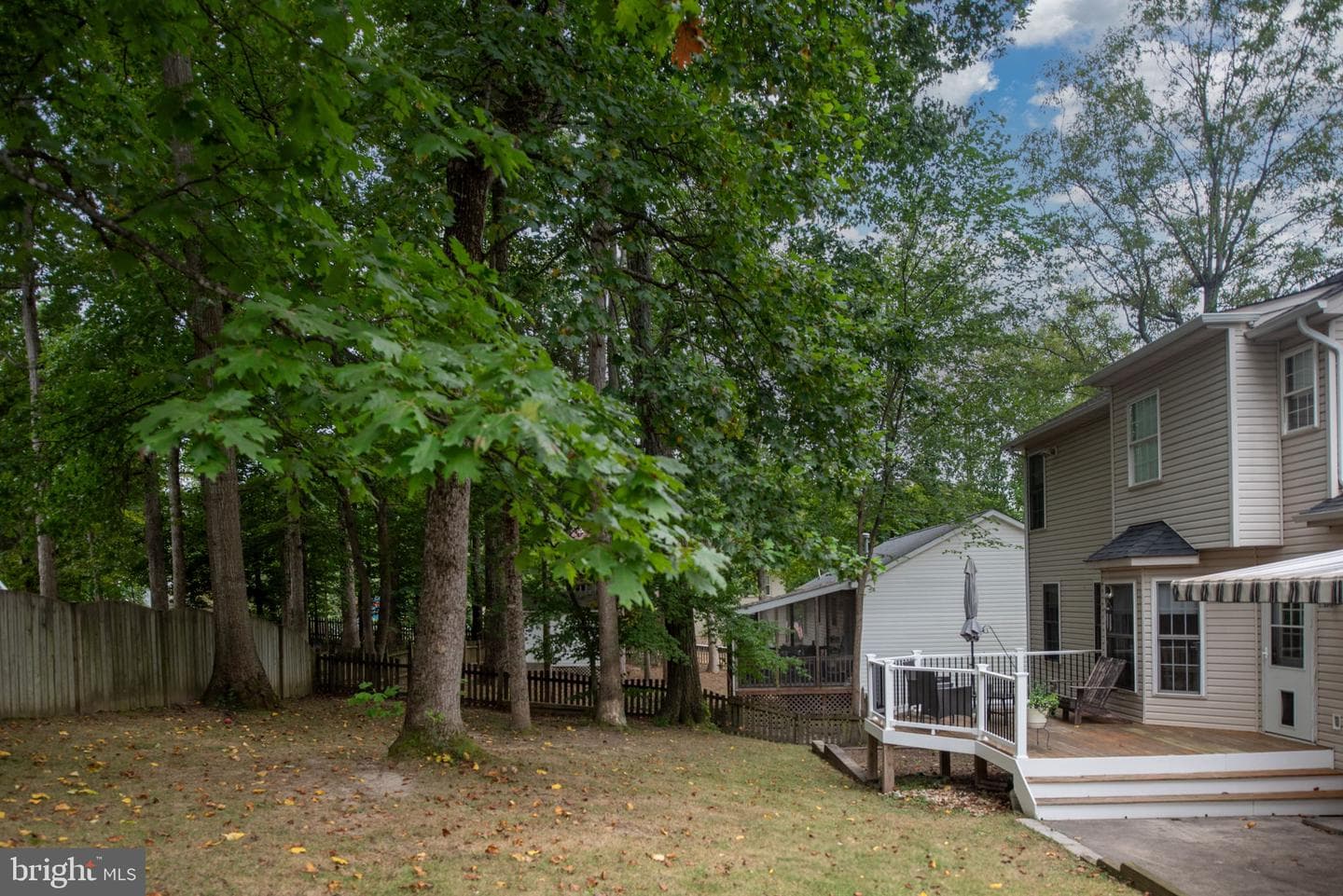 6217 Forest Grove Drive photo 55