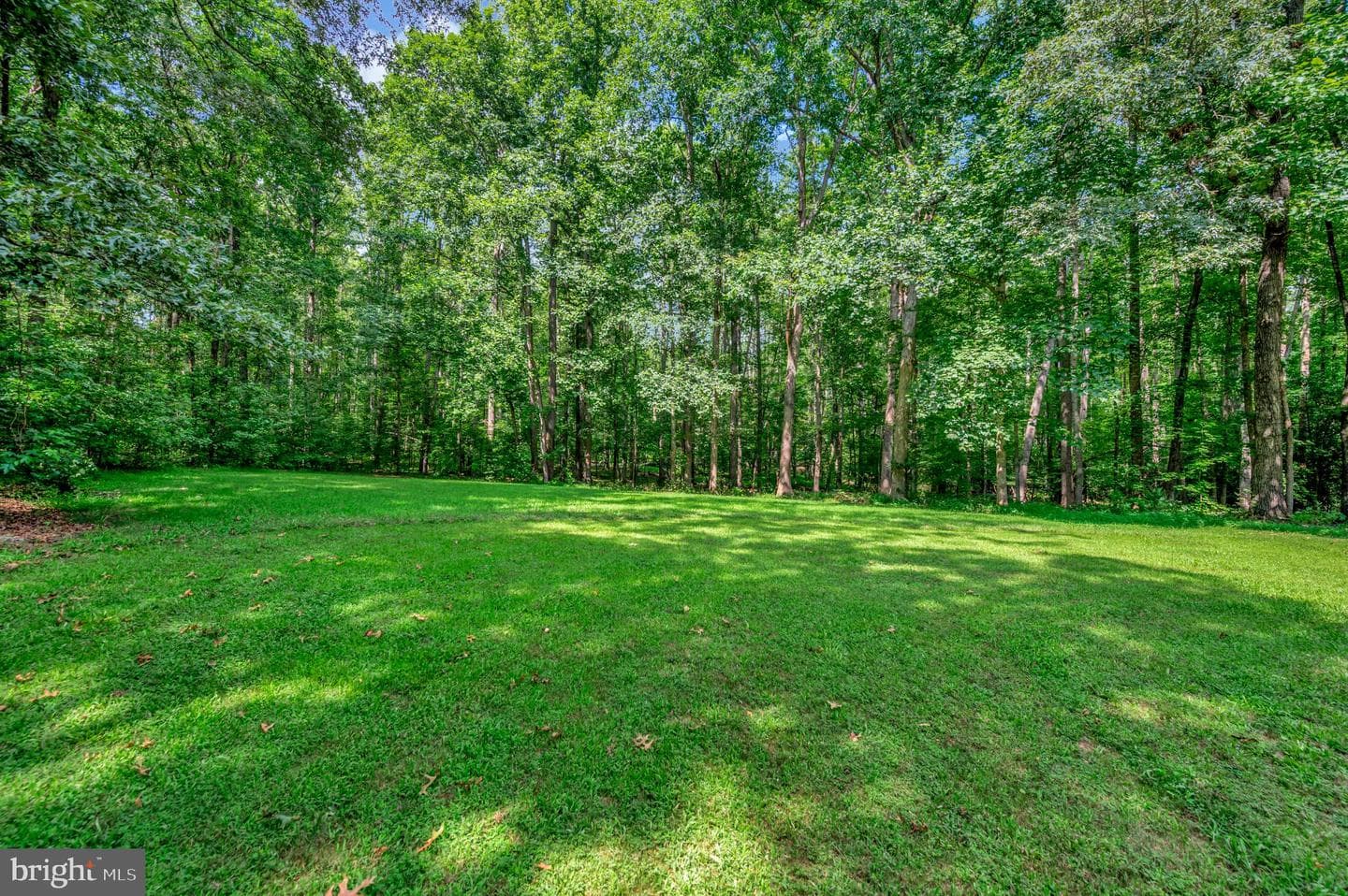 13008 Grant Court photo 37