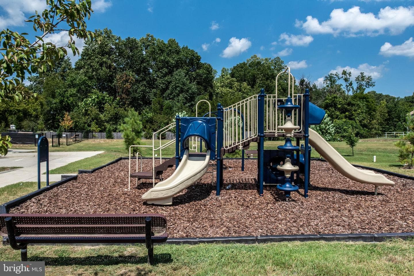9711 Cedarmass Circle photo 43