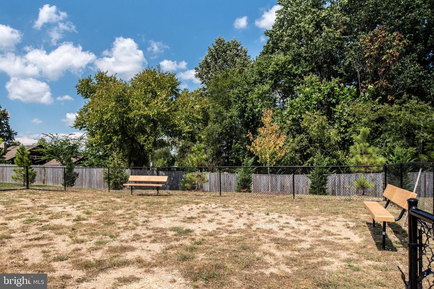 9711 Cedarmass Circle photo 44