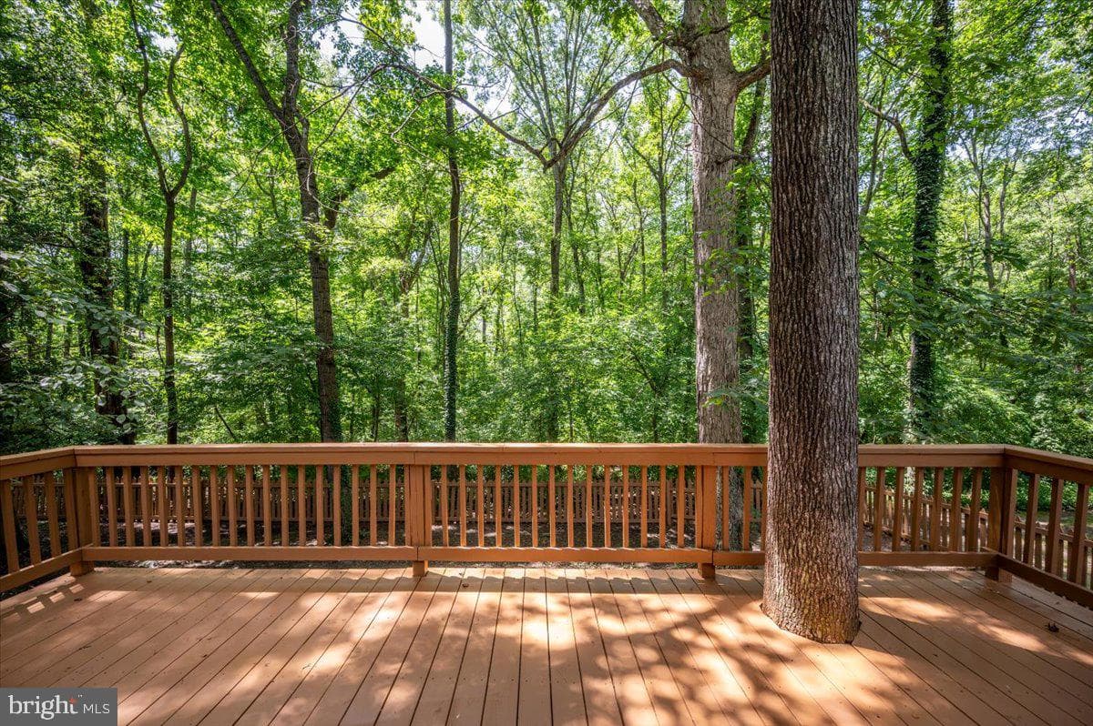 11816 Rutherford Drive photo 55
