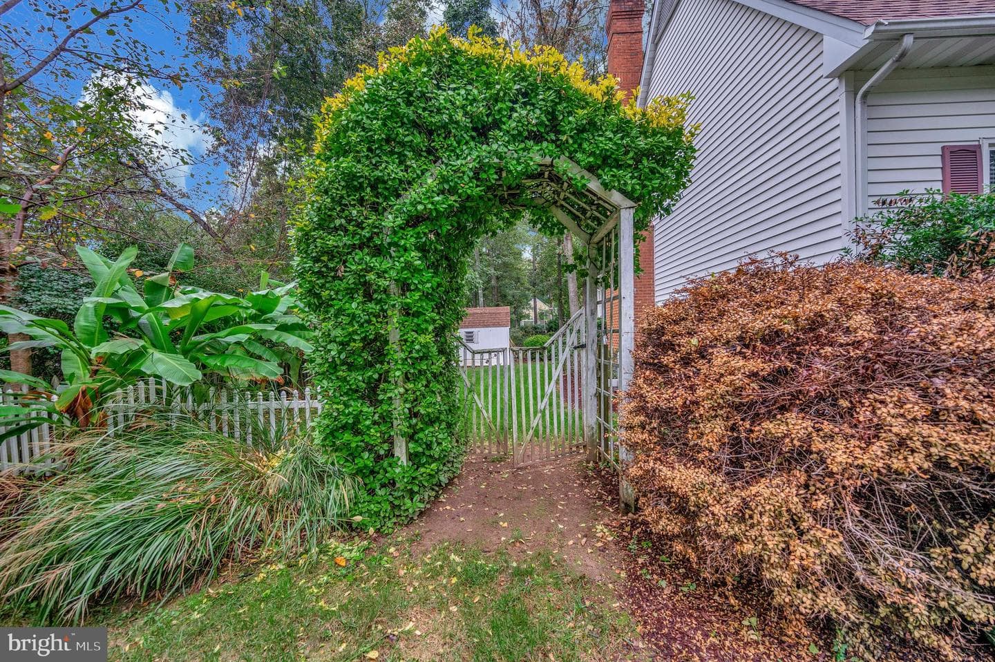 416 Whitecliff Drive photo 10