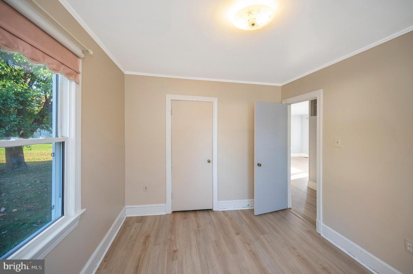 205 Hamilton Street photo 24