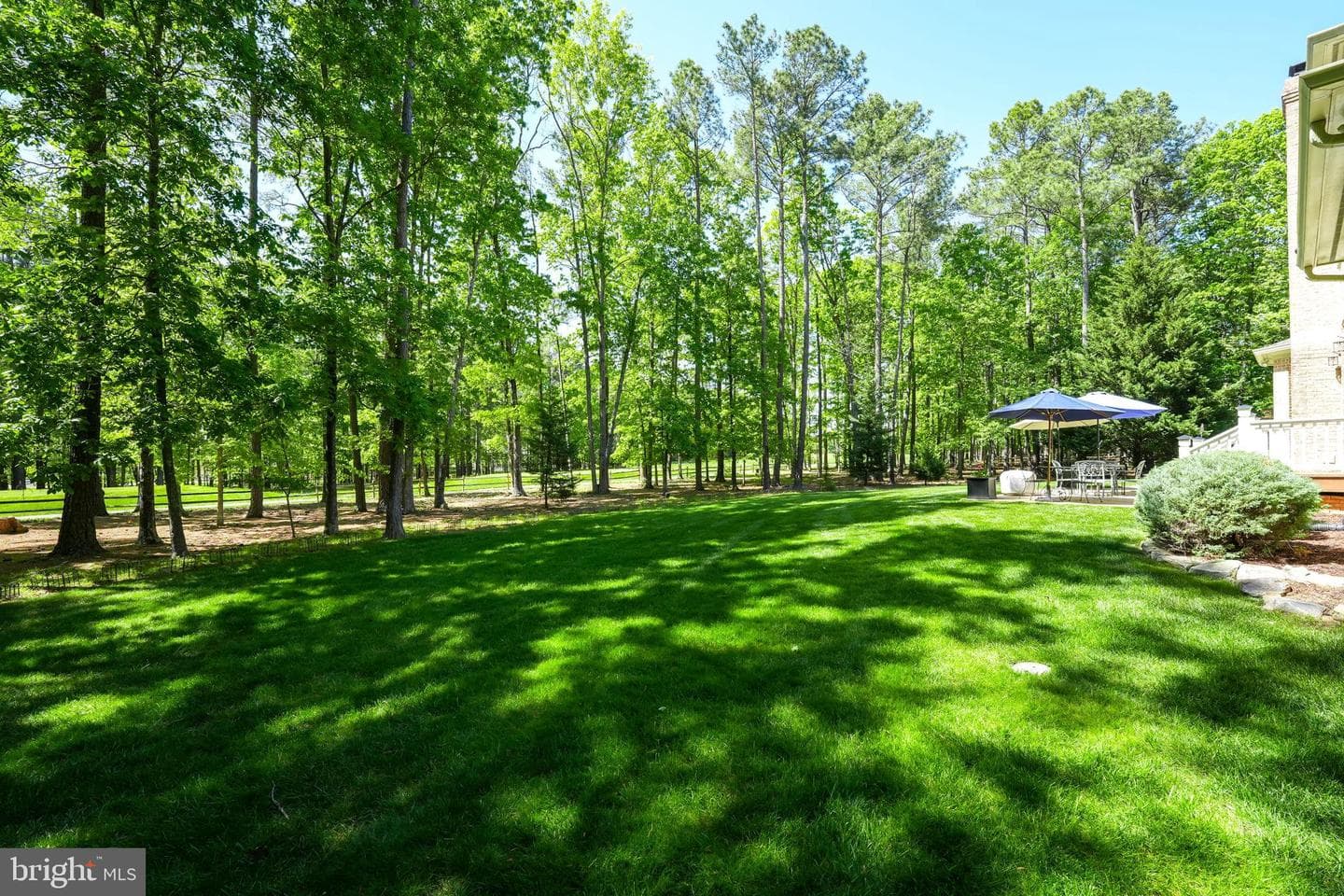 11504 Burnside Place photo 11