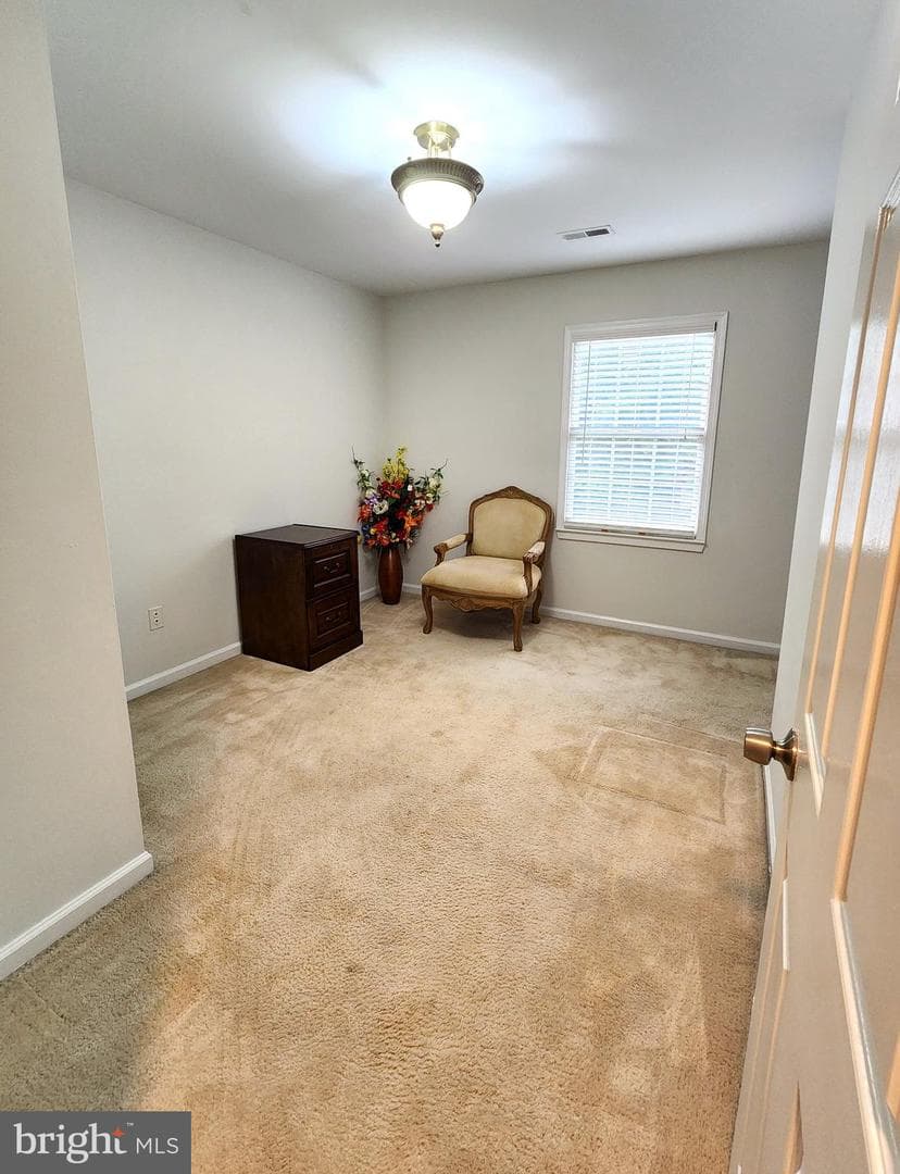 11815 Switchback Lane photo 34