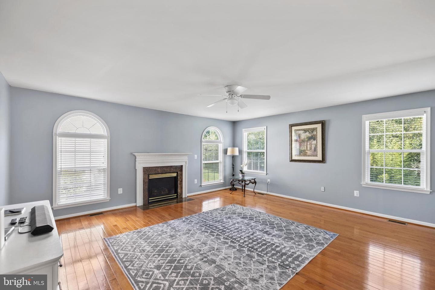 3622 Carolina Court photo 17