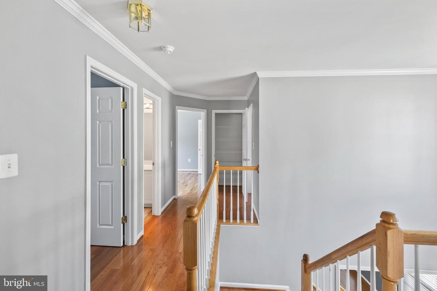 3622 Carolina Court photo 19