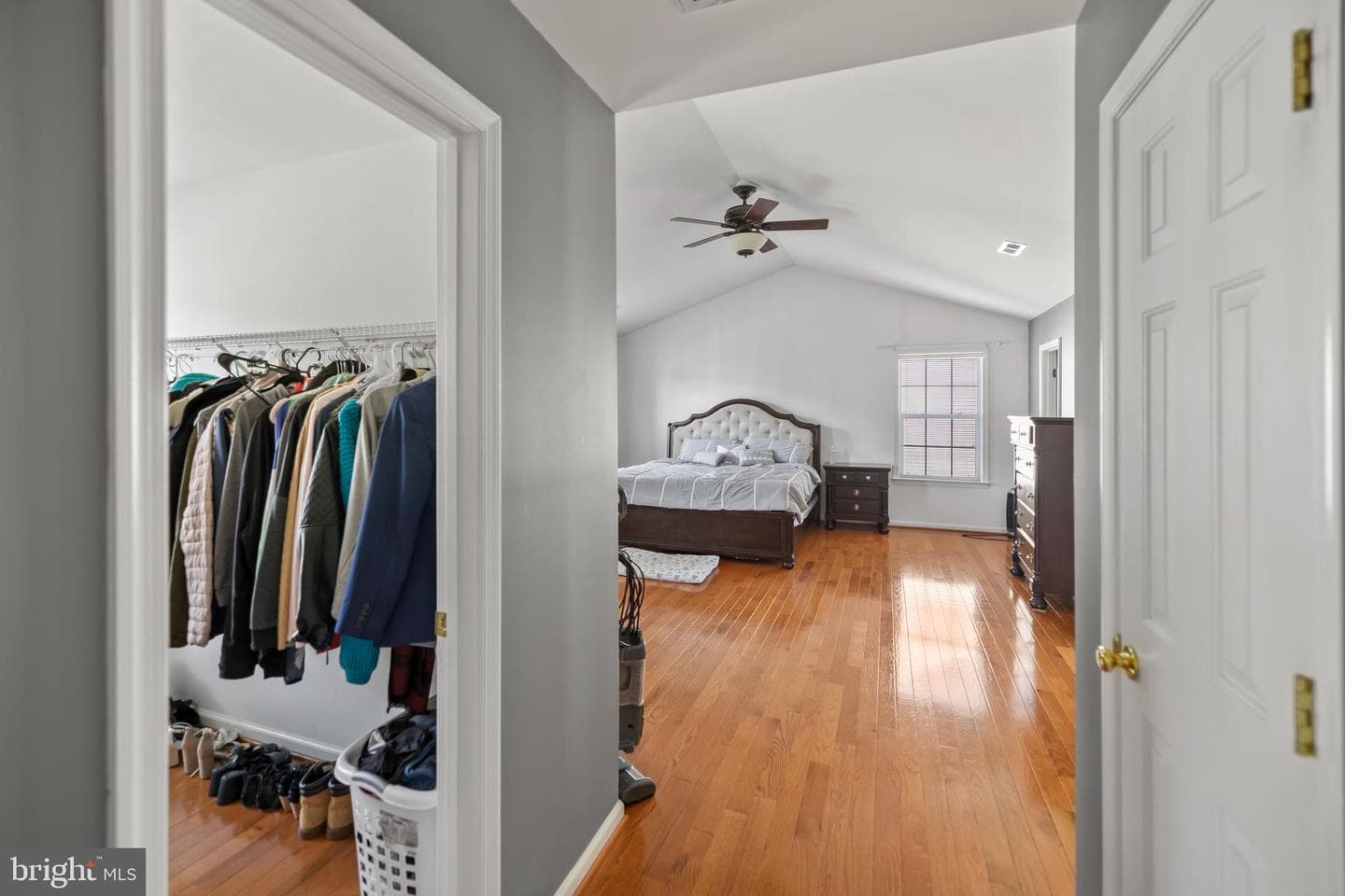 3622 Carolina Court photo 20