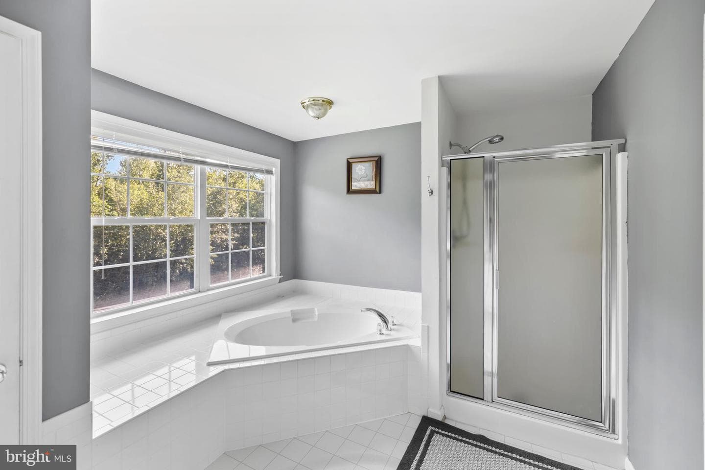 3622 Carolina Court photo 24