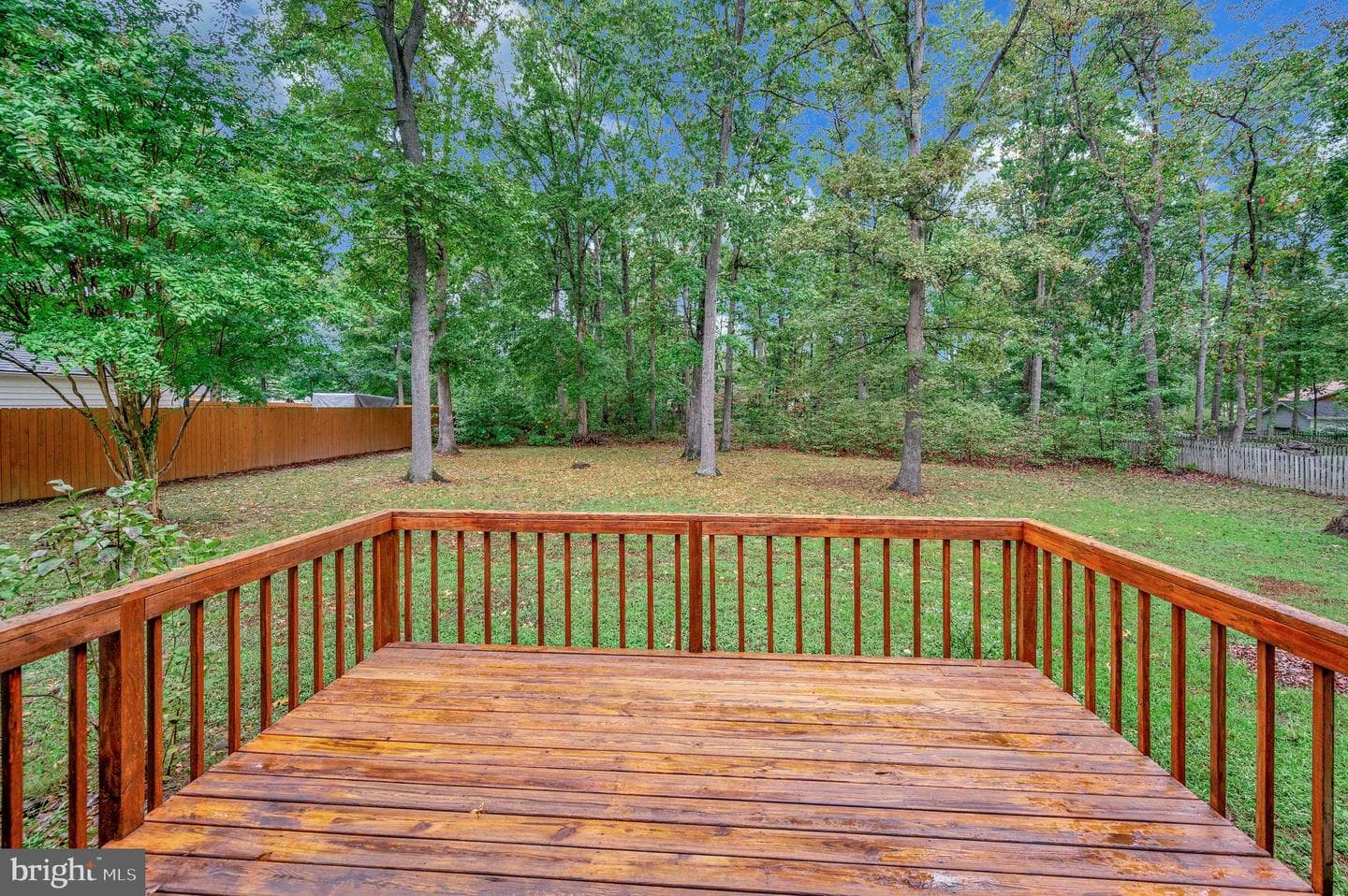 5221 Mcmanus Drive photo 31