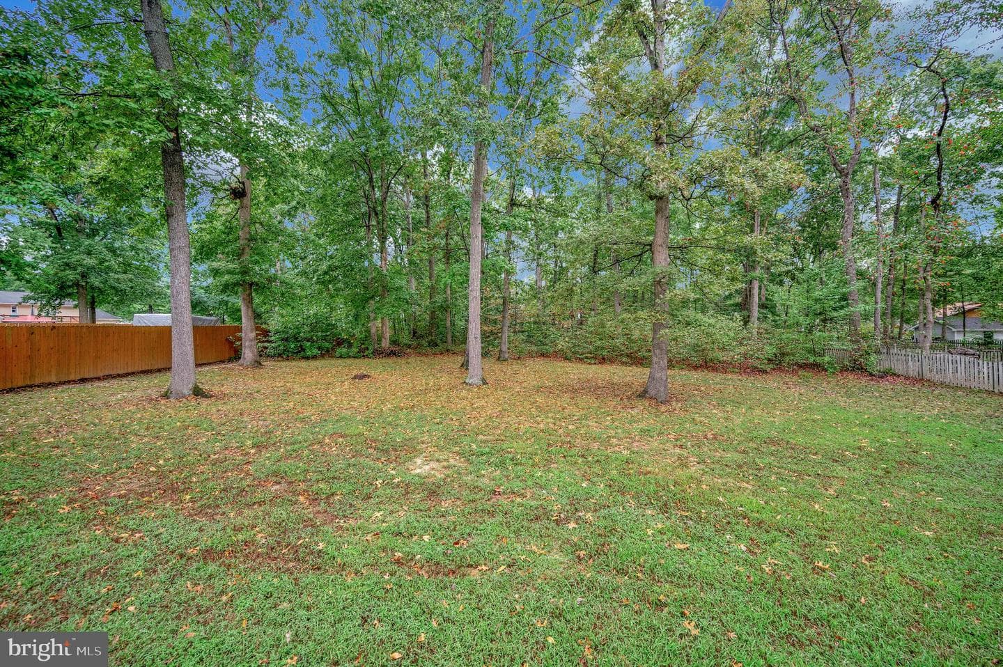 5221 Mcmanus Drive photo 32