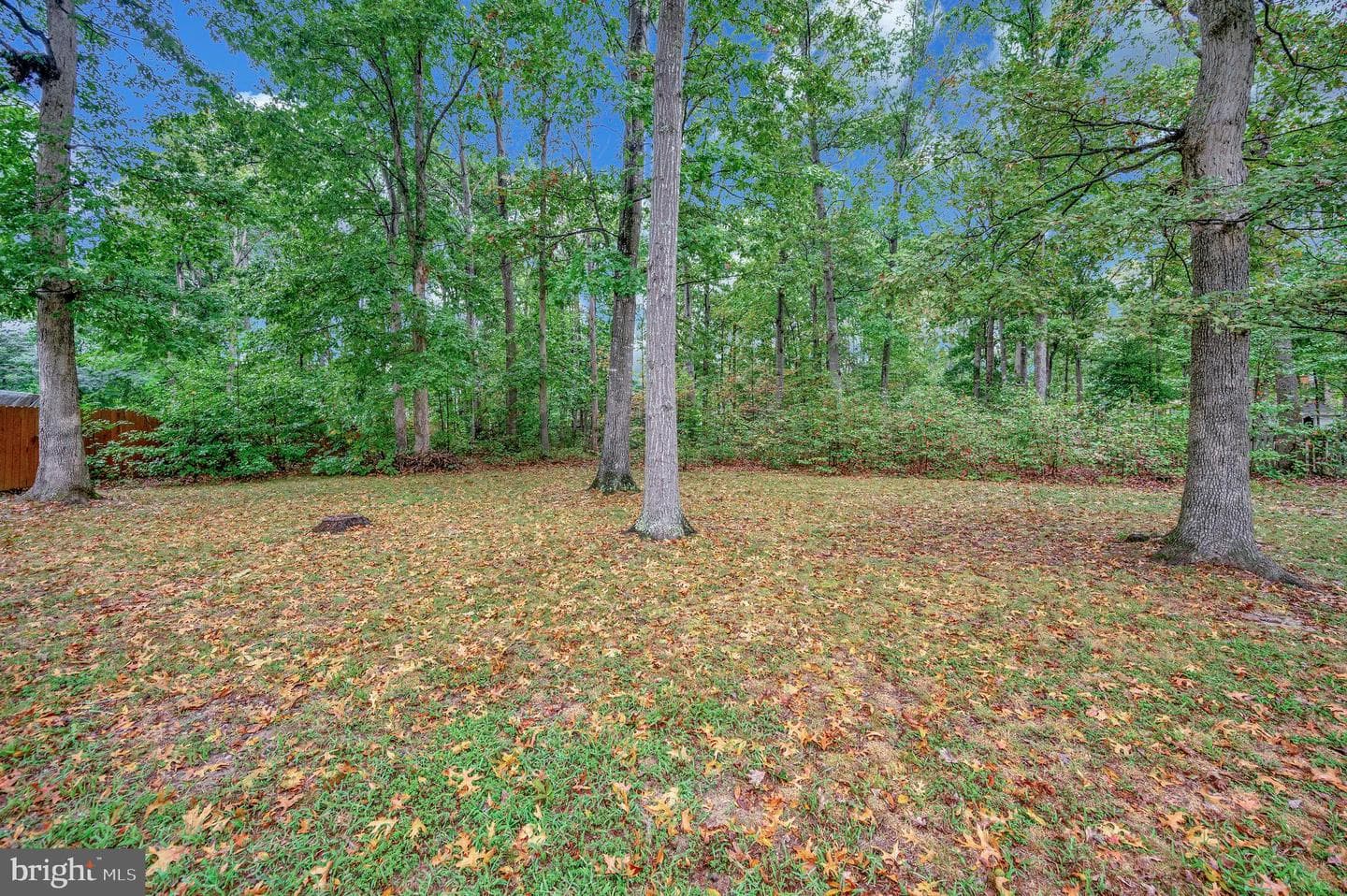 5221 Mcmanus Drive photo 33