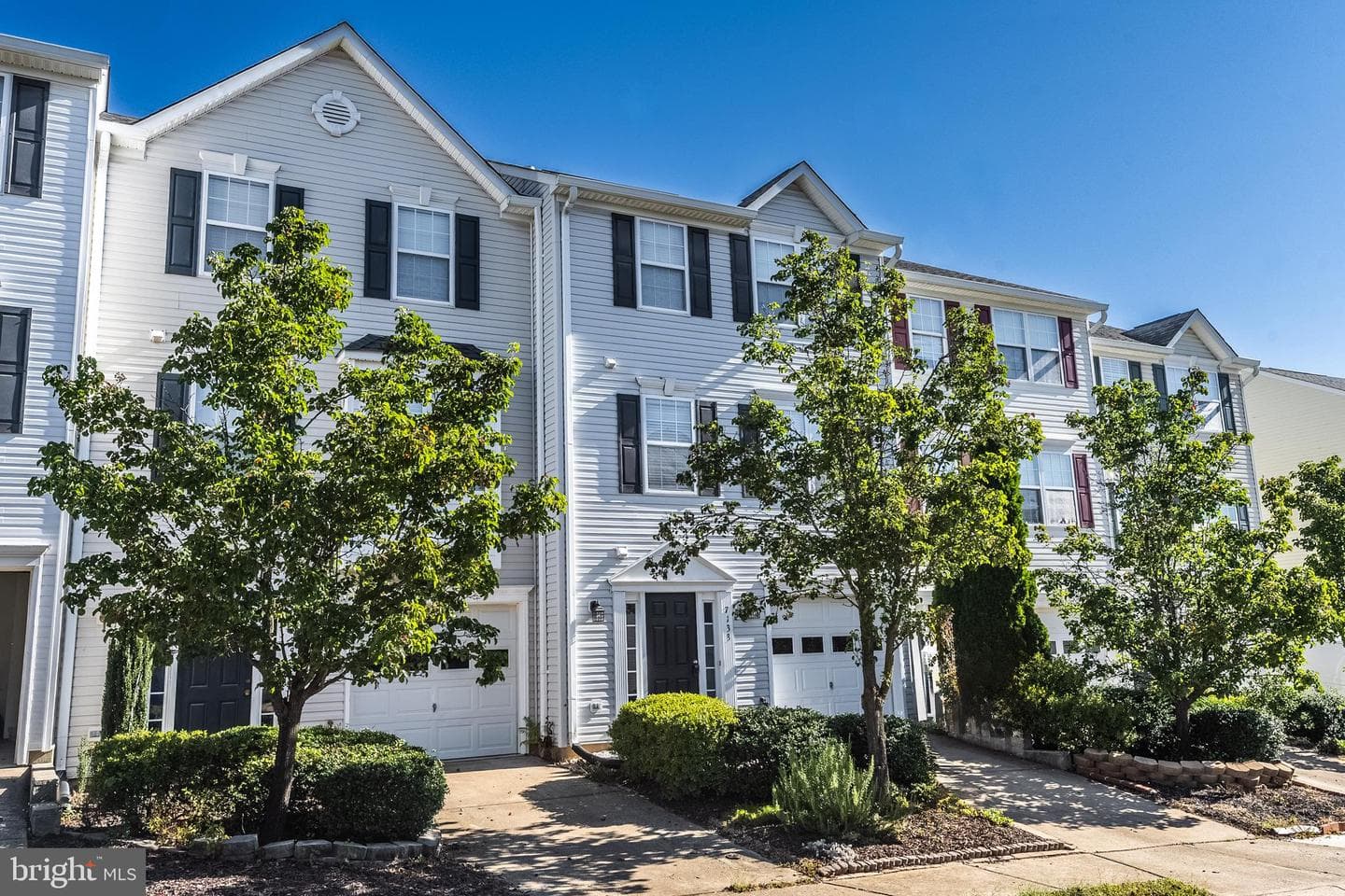 7133 Wytheville Circle photo 3