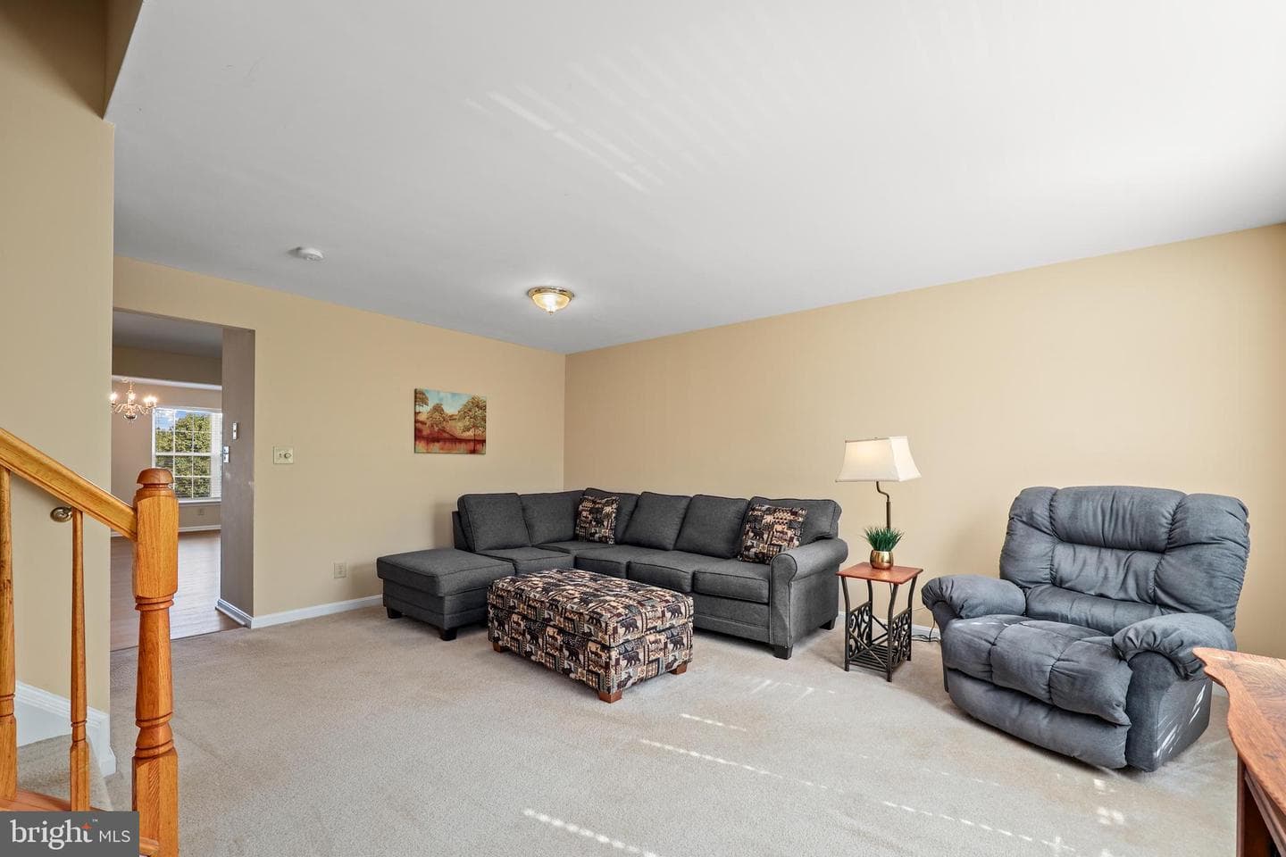 10008 Gander Court photo 18