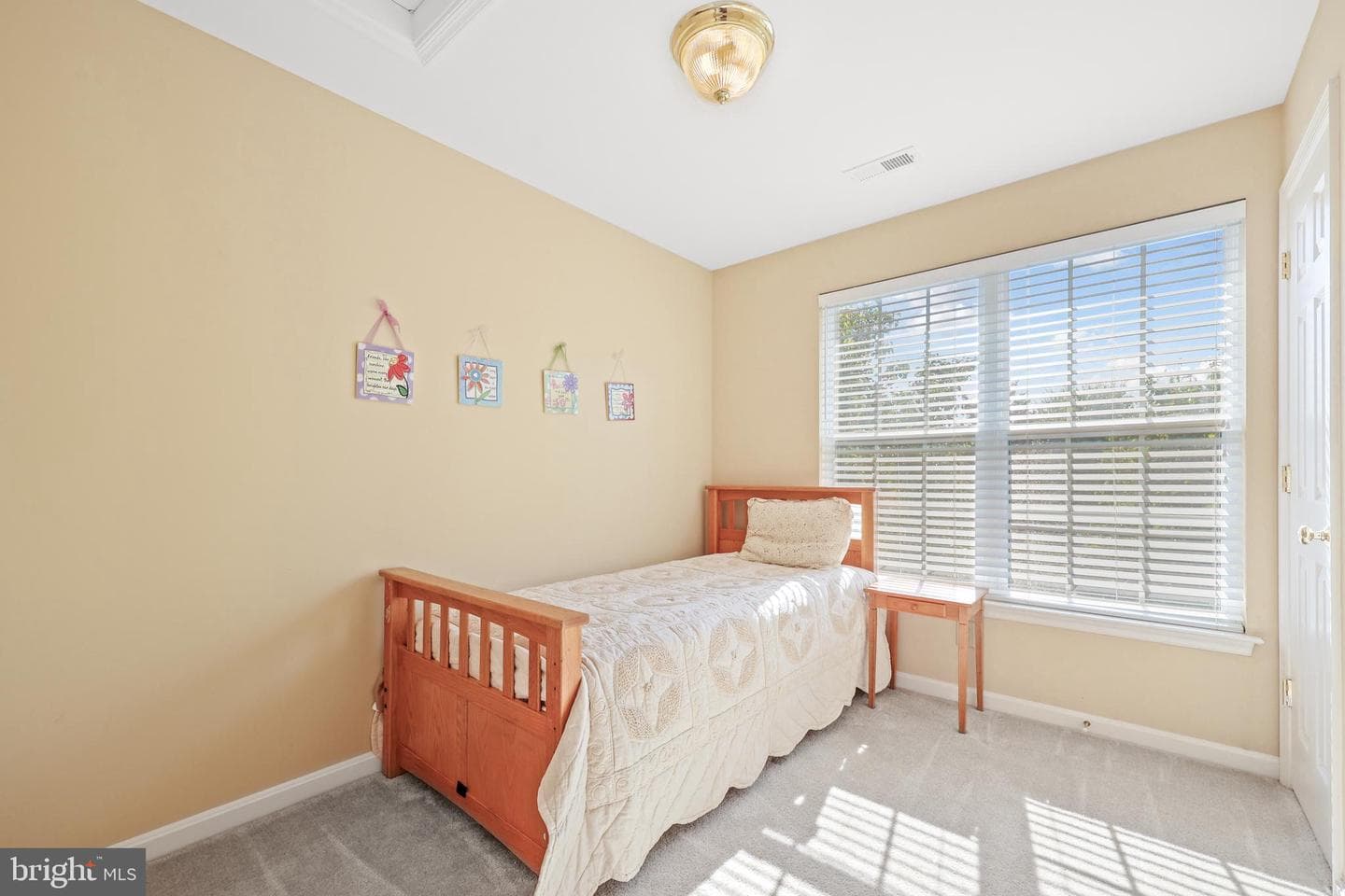 10008 Gander Court photo 25