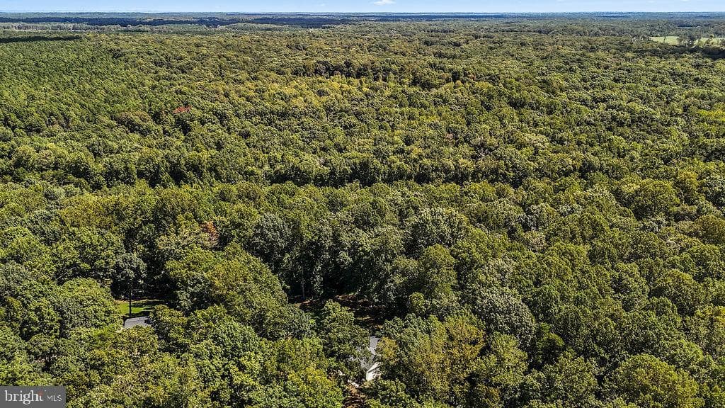 7525 Nyland Road photo 38