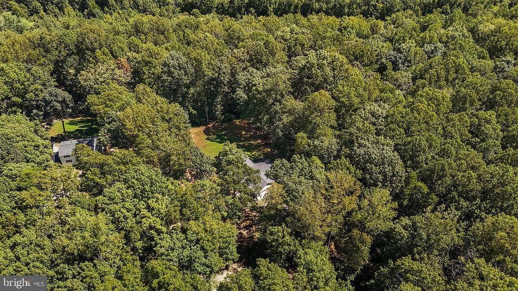7525 Nyland Road photo 39
