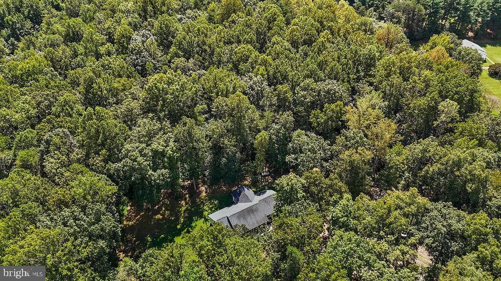 7525 Nyland Road photo 41