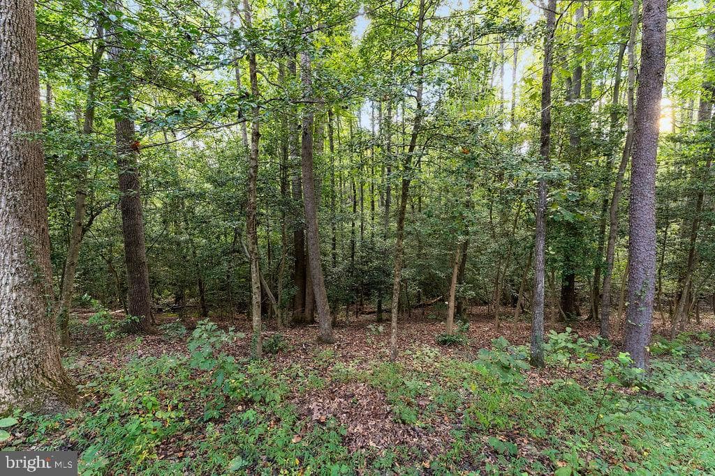 7525 Nyland Road photo 46