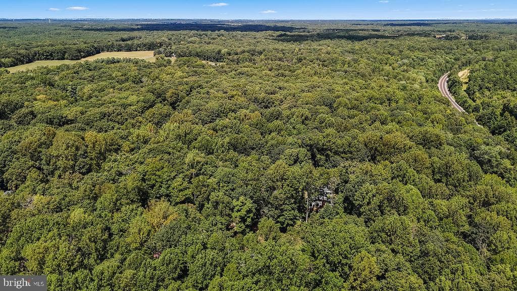 7525 Nyland Road photo 47