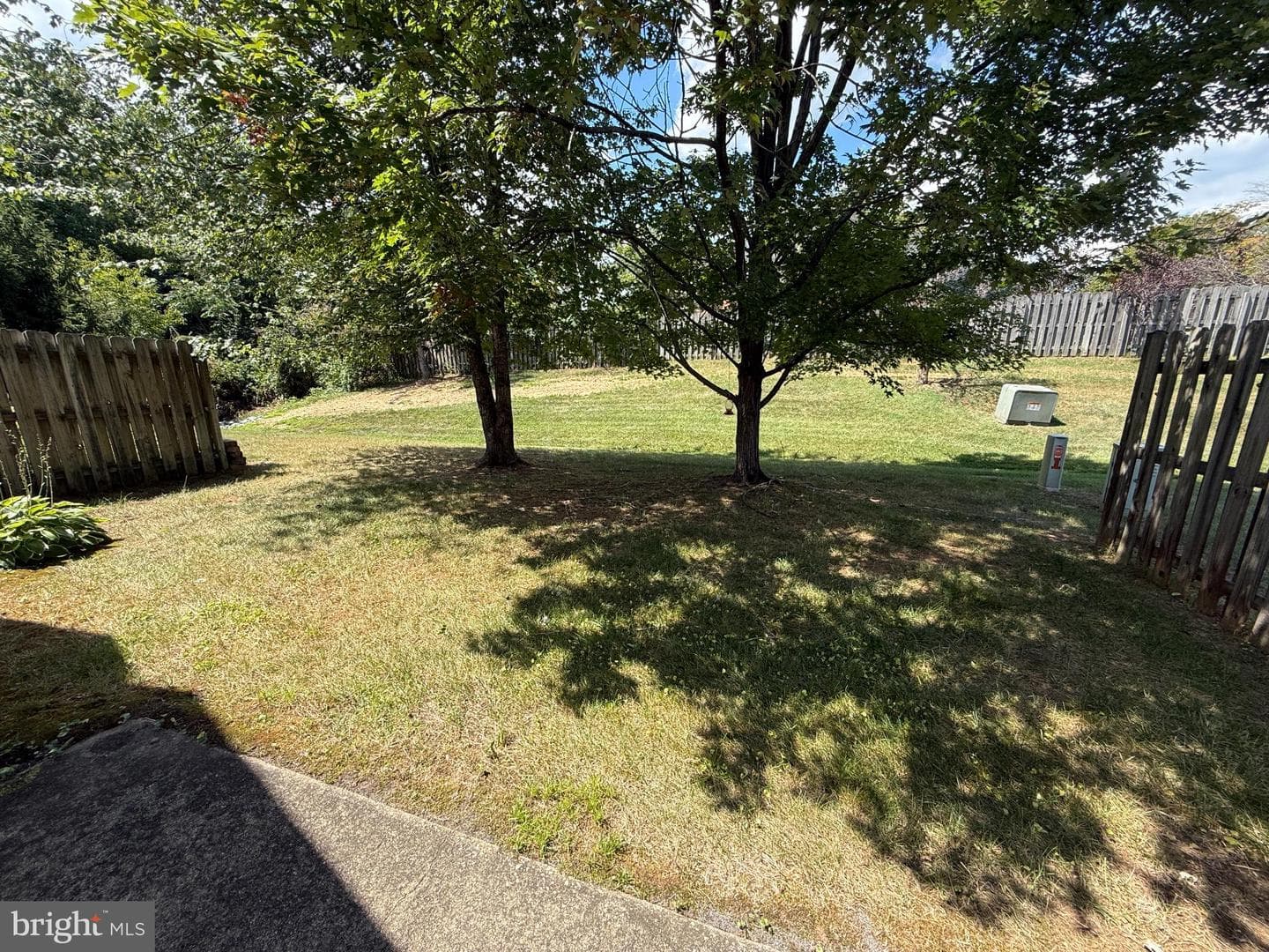 11002 Jaguar Court photo 10