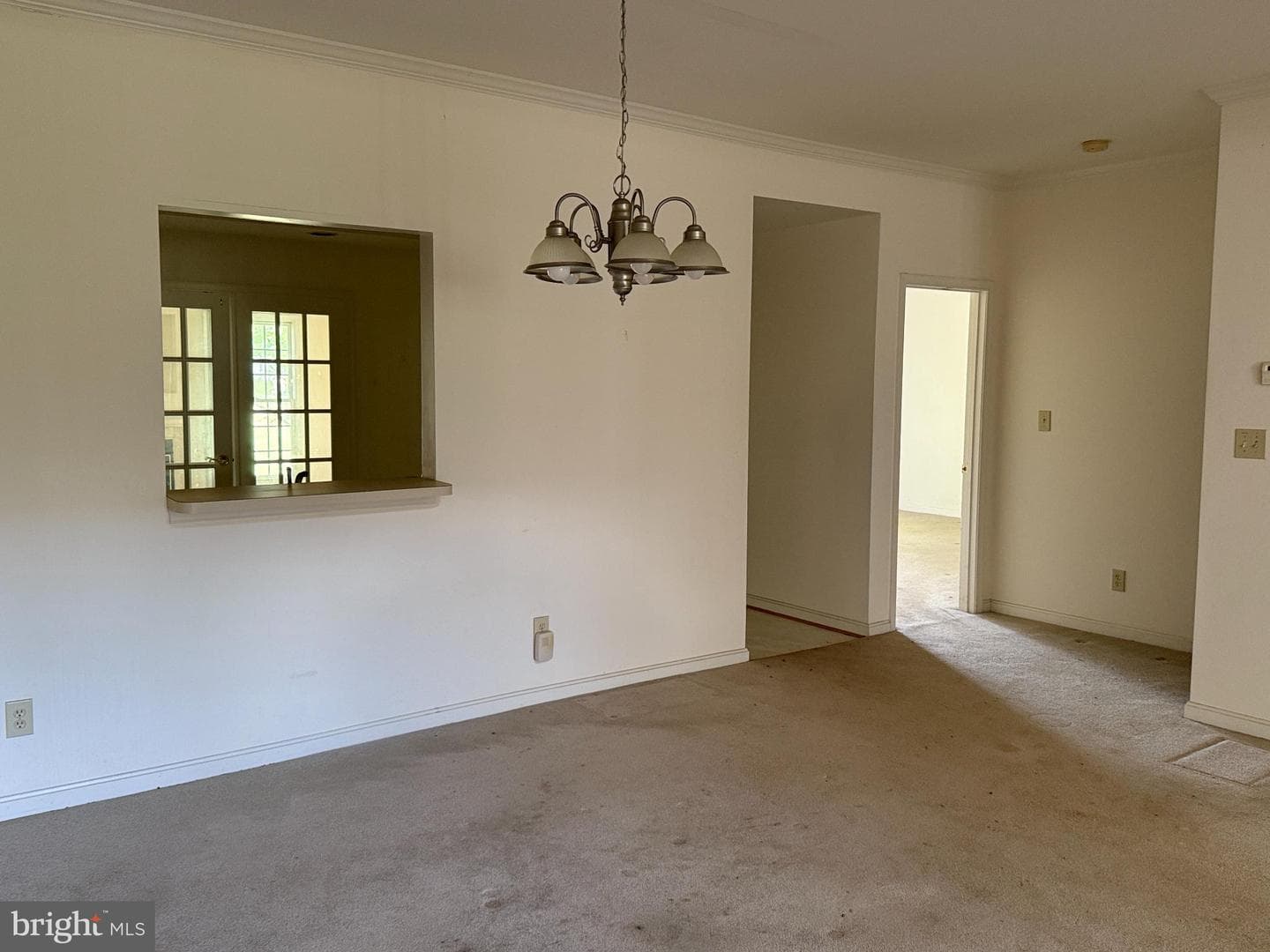 11002 Jaguar Court photo 6