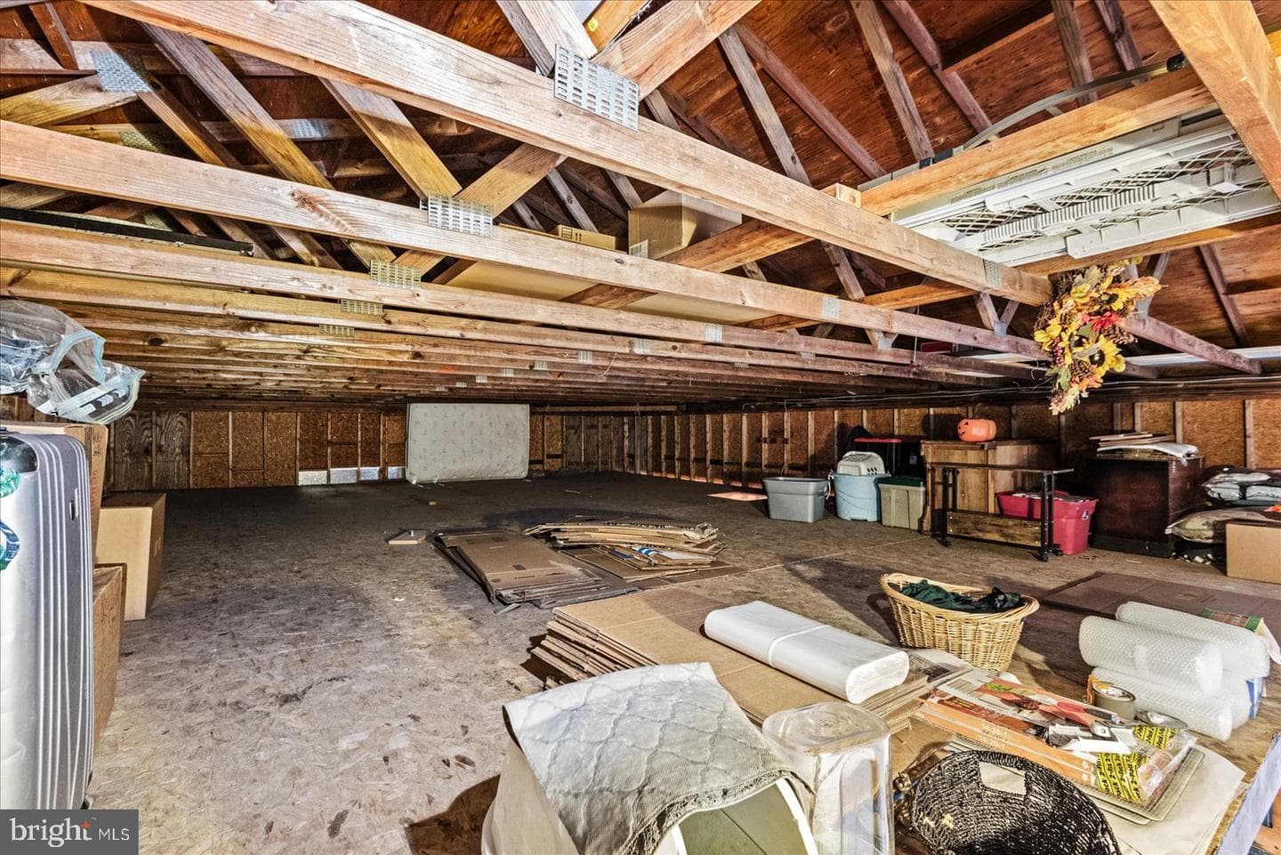 5 Junie Court photo 51