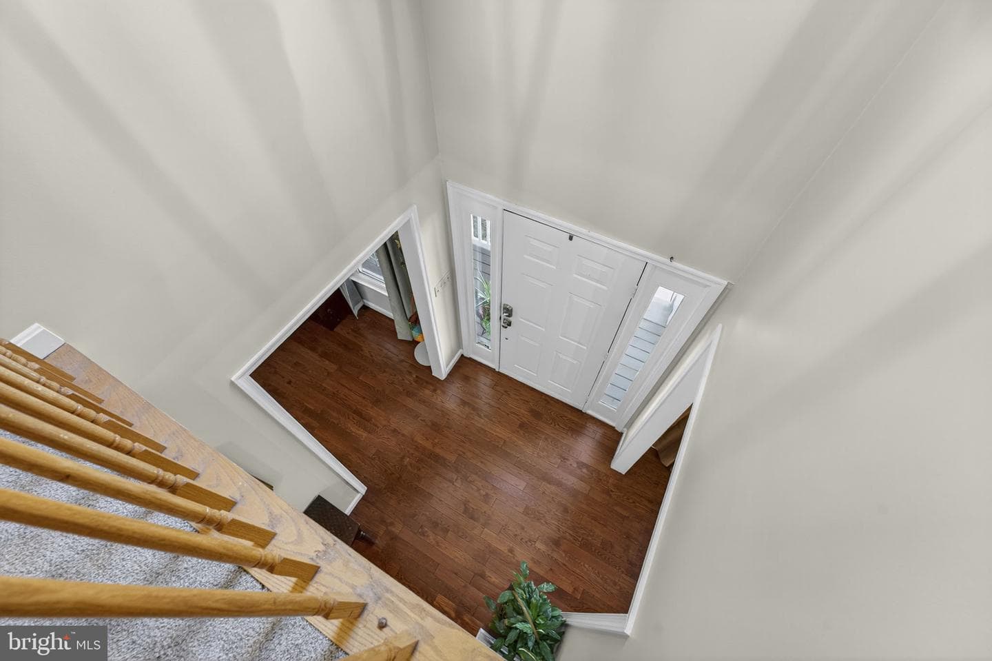 11905 Buttercup Lane photo 49