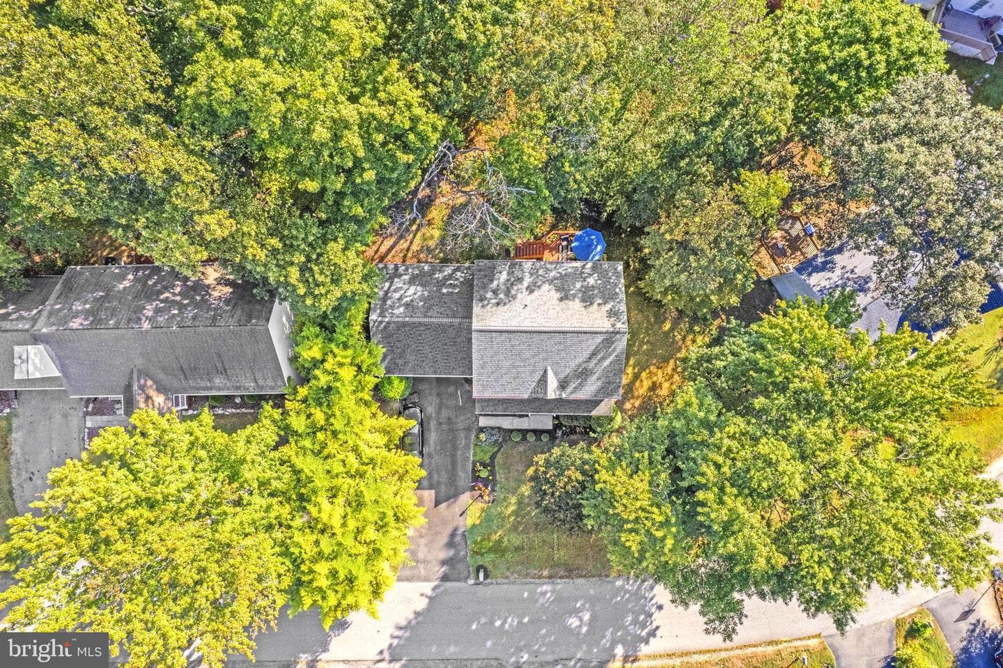 11905 Buttercup Lane photo 76